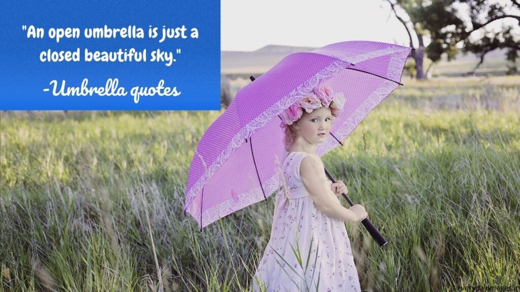 Funny Umbrella quotes