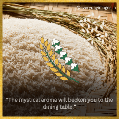 Rice Quotes and Sayings