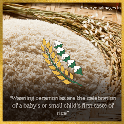 Rice Weaning Ceremony Quotes