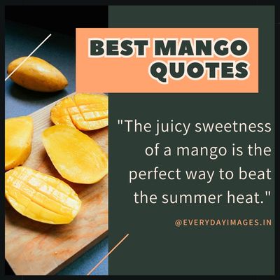 Summer Mango Quotes