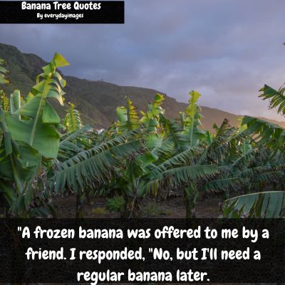 Banana Tree Captions