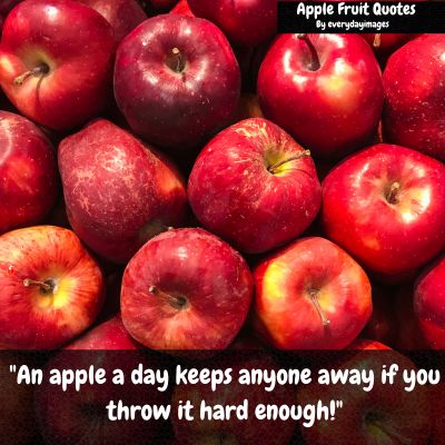Funny Apple Fruit Quotes