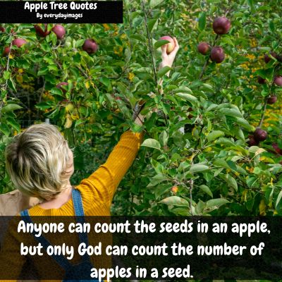 Apple Tree Quotes About Life