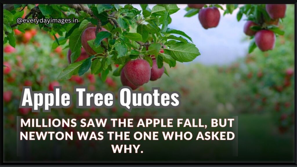 Apple Tree Quotes