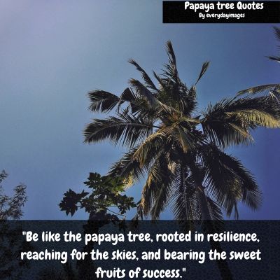 Motivational papaya Tree Quotes