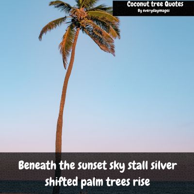 Beach coconut tree quotes