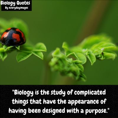 Famous Biology Quotes