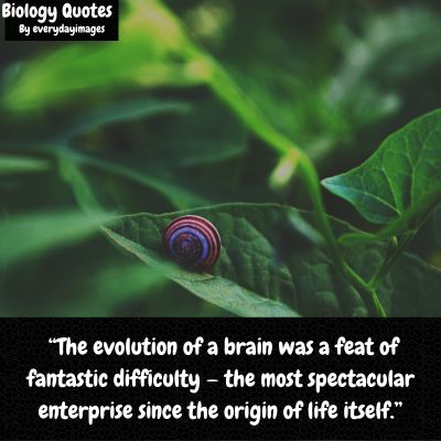 Evolutionary Biology Quotes