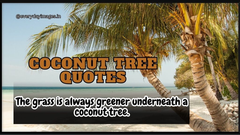 Coconut tree quotes