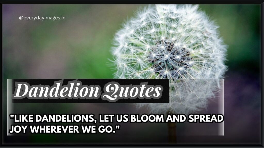 Dandelion Quotes