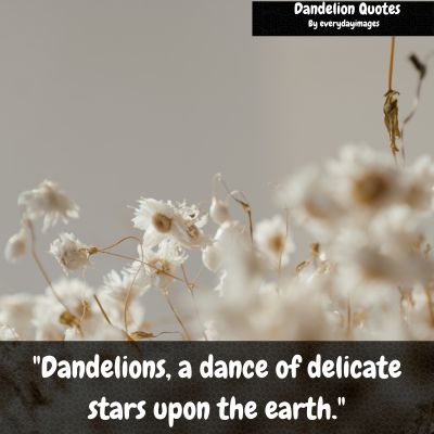 Dandelion Flower Quotes
