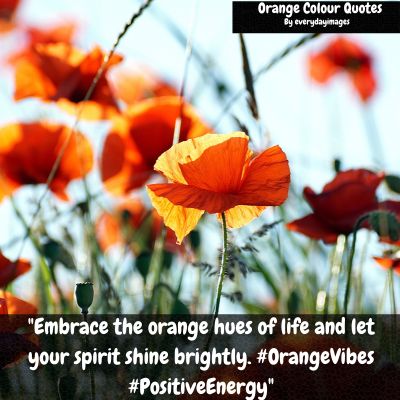 Orange Color Quotes For Instagram