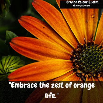 Orange Color Short Quotes