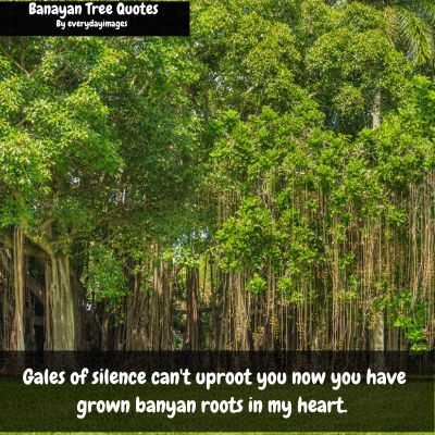 Famous quotes on banyan tree