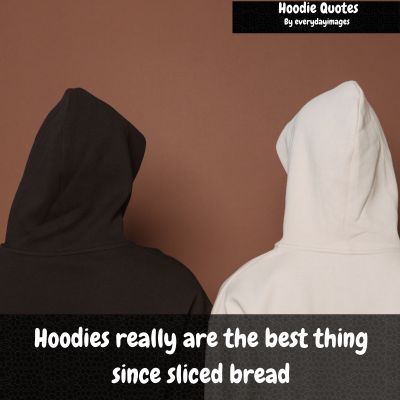 Best Hoodie Quotes