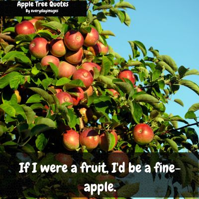 Funny Apple Tree Quotes