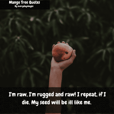 Raw Mango Tree Quotes