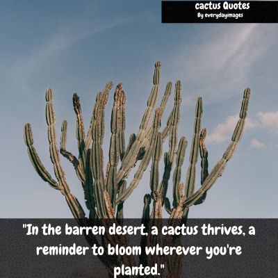 Desert Cactus Quotes