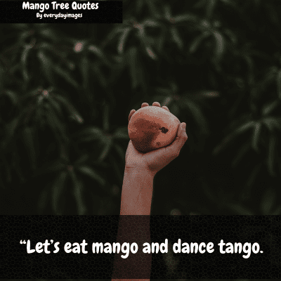 Yellow Mango Tree Quotes