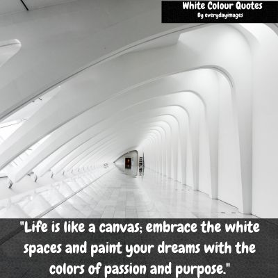 White Color Quotes About Life