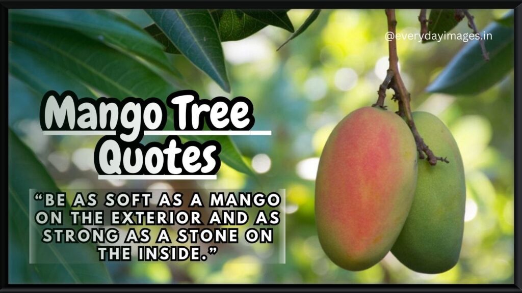 Mango Tree Quotes