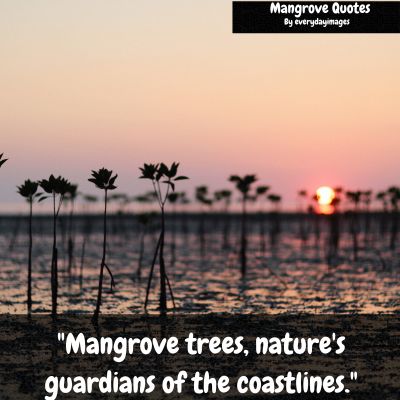 Mangrove Tree Short Quotes