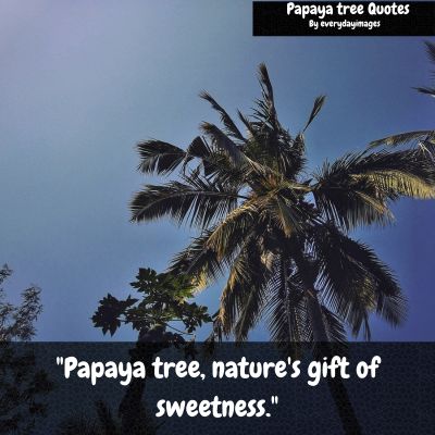 Papaya Tree Short Quotes