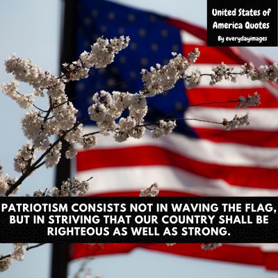 American flag quotes sayings