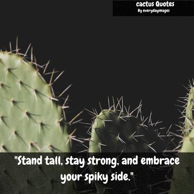 Cactus Sayings