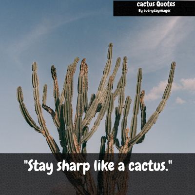 Cactus Short Quotes