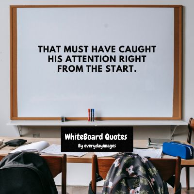 Funny Whiteboard Quotes