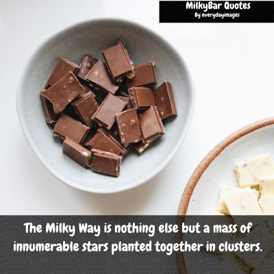 Milky Bar Quotes