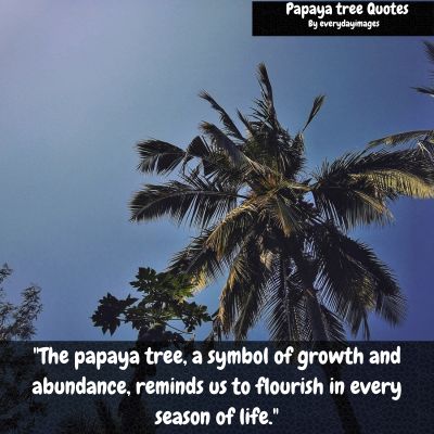 Papaya Tree Quotes
