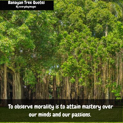 Under the banyan tree quotes