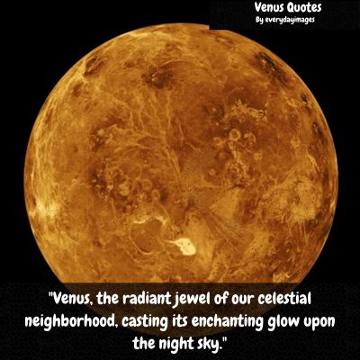 Venus Quotes