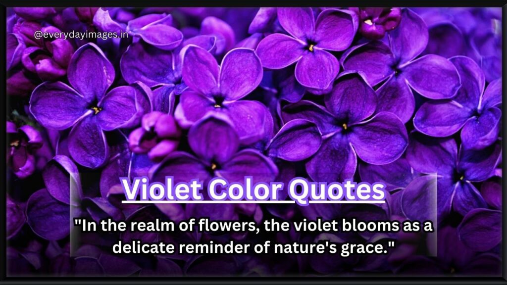 Violet Color Quotes