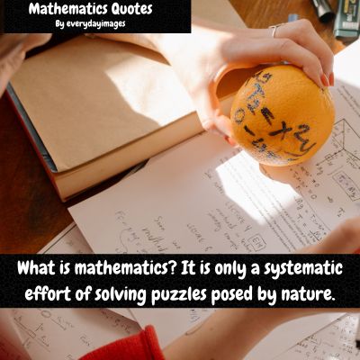 Math quotes for students