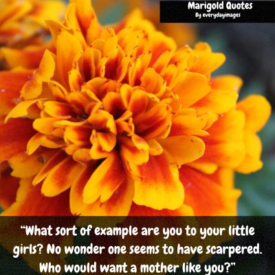 Marigold quotes