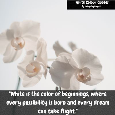 Positive white Color quotes