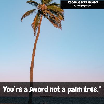 Funny Coconut Tree Quotes