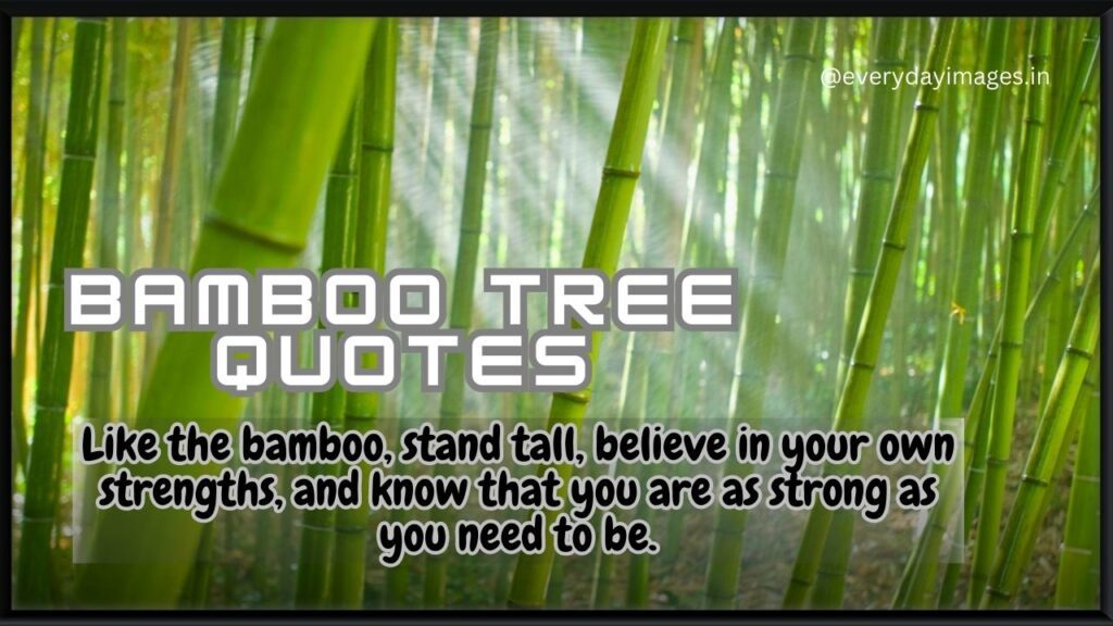 bamboo tree quotes