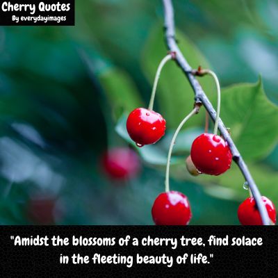 Cherry Tree Quotes