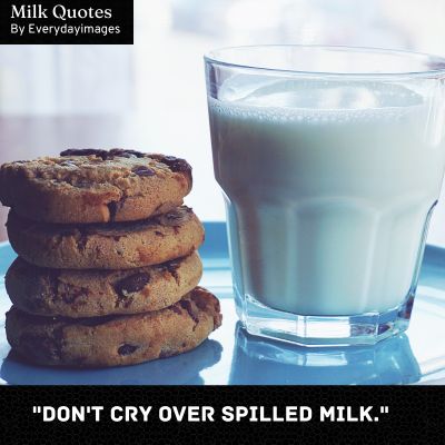 Famous Milk Quotes