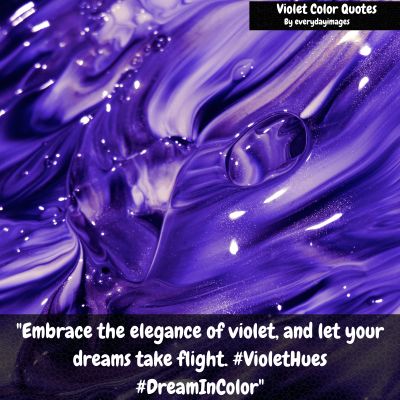 Violet Color Quotes For Instagram