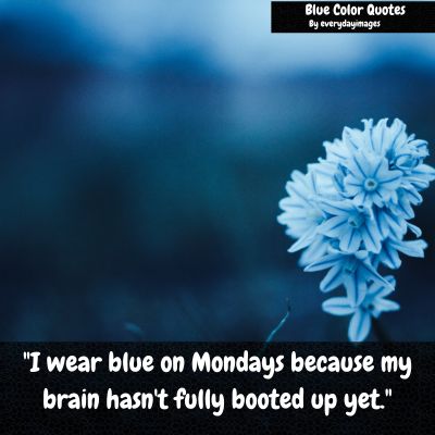 Funny Blue Color Quotes