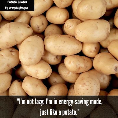 Funny Potato Quotes