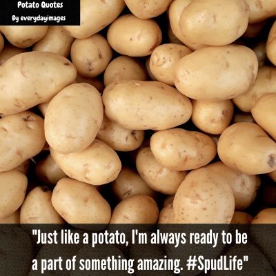 Potato Quotes For Instagram