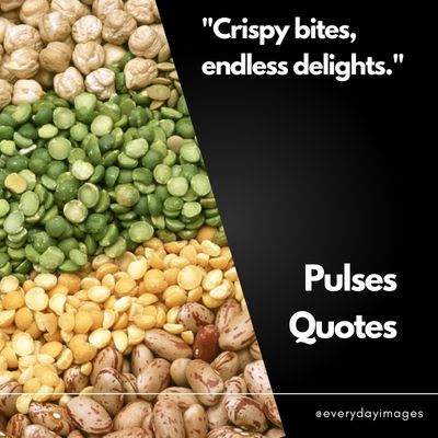 Pulses Quotes