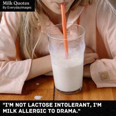 Funny Milk Quotes
