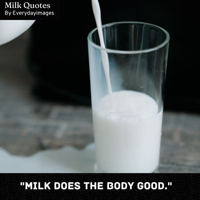 Best Milk Quotes